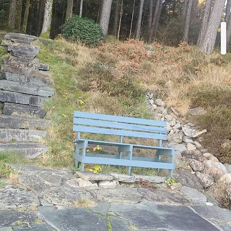펜션 And 호이예순