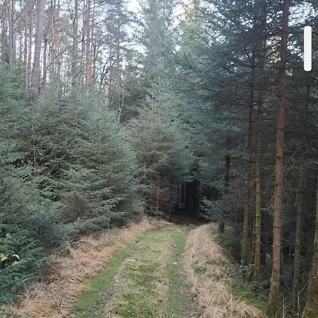 And